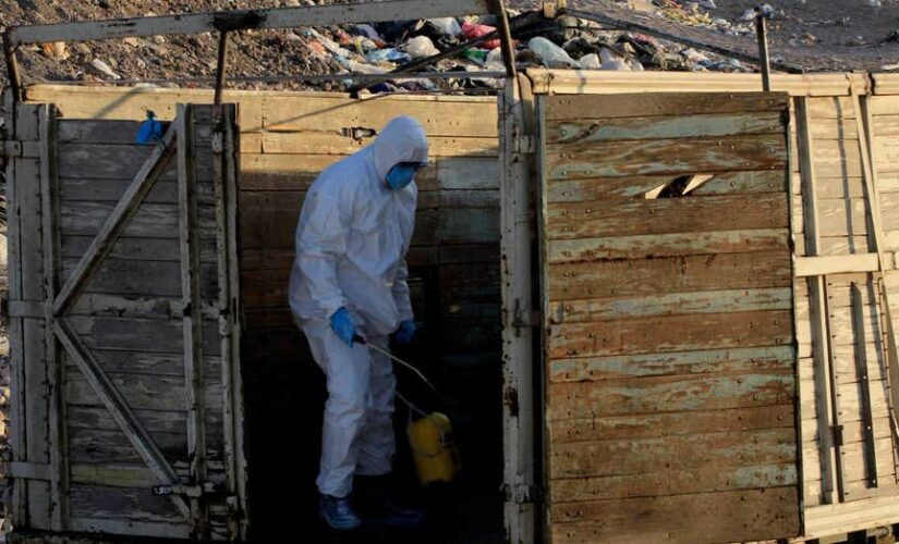 Mexico reports its first H5N1 bird flu infection