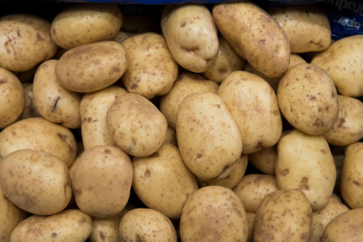 Australian men face charges after blinding e-scooter rider with projectile potato