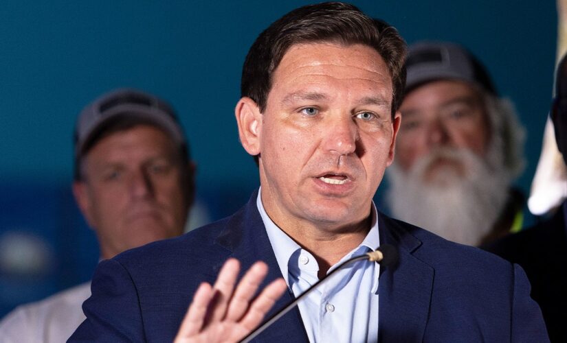 Hispanic voters prefer DeSantis, including some Dems: poll