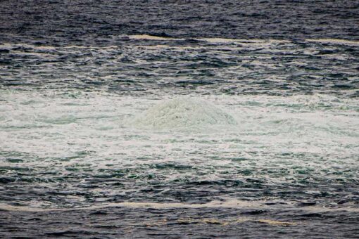 Germany opens investigation into Baltic Sea pipeline explosions