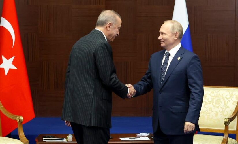 Putin doubles down on proposal to make Turkey energy hub