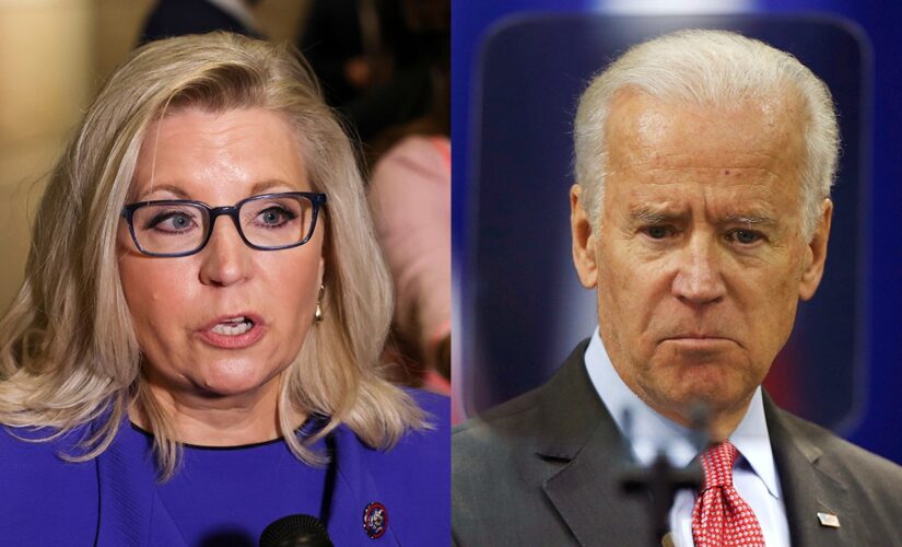 Biden: ‘I admire the hell’ out of Liz Cheney