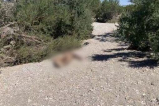 National sheriffs’ group sounds alarm over spike in migrant deaths at southern border