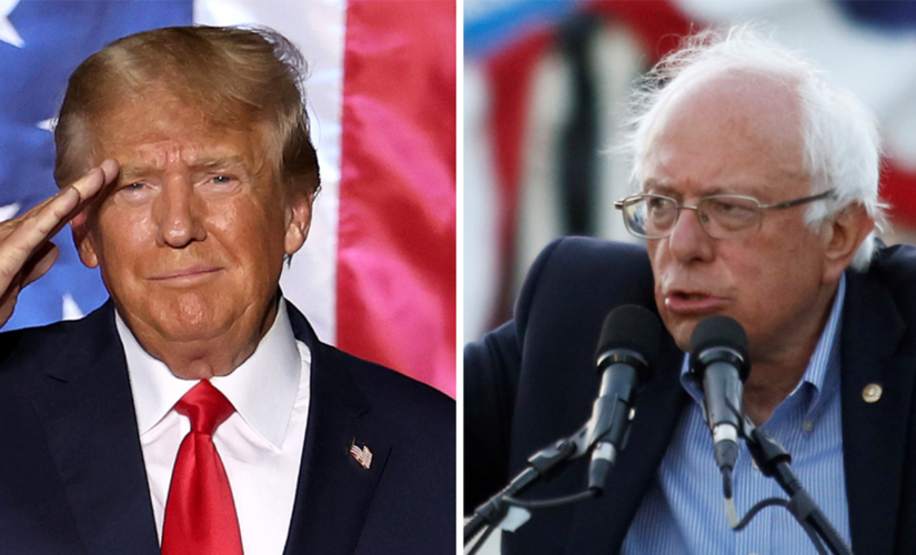 Bernie Sanders sees opening for Dems to court Trump voters: Dems should fight for middle class