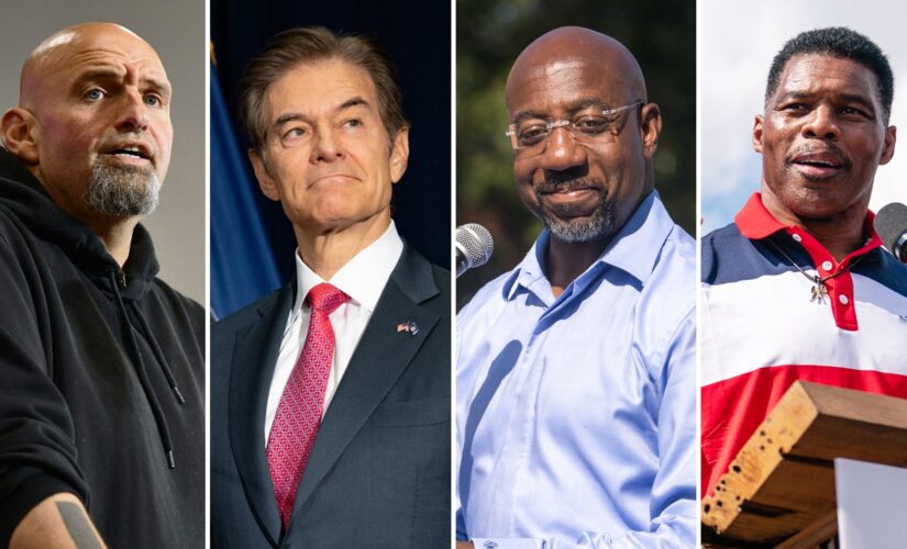Political experts issue midterm election predictions, most conclude GOP will take House and Senate is toss-up