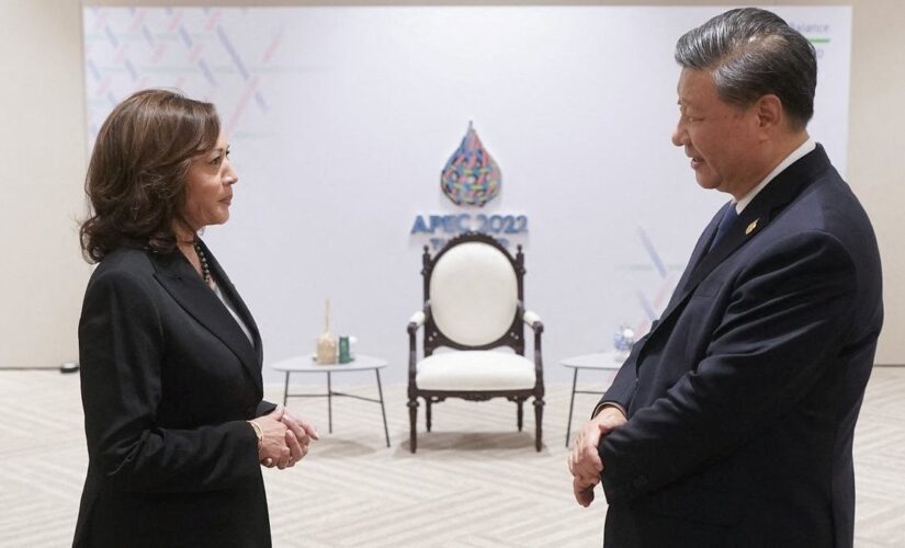 VP Harris, China’s Xi meet to ‘keep lines of communication open’