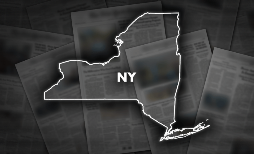 NY GOP’s lunge for governorship may help shore party up in competitive House seats