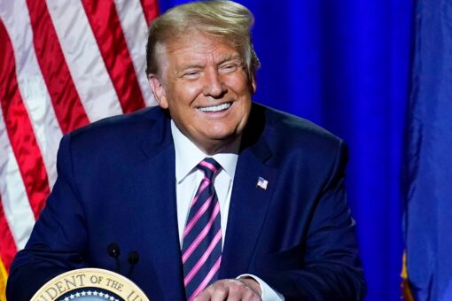 Liberals on Twitter fume after Musk reinstates Trump to platform: ‘God help us’