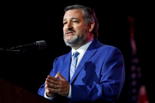 Midterms: Cruz predicts ‘not just a red wave, but a red tsunami’ for Republicans on Election Day