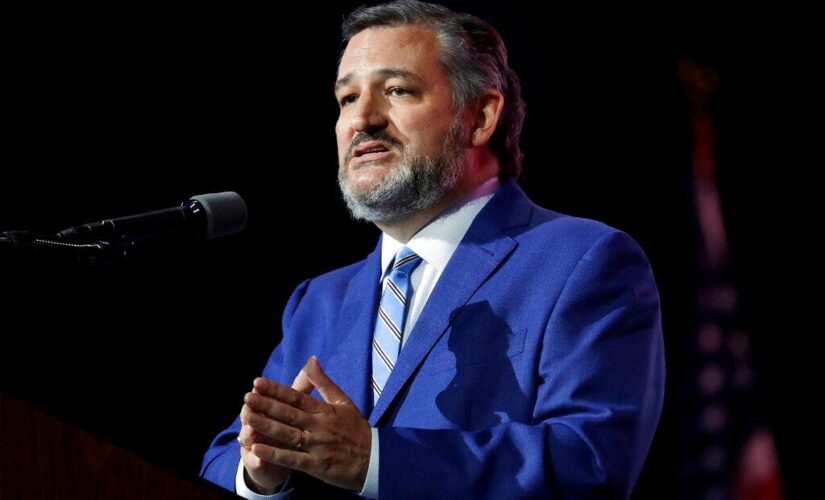 Midterms: Cruz predicts ‘not just a red wave, but a red tsunami’ for Republicans on Election Day