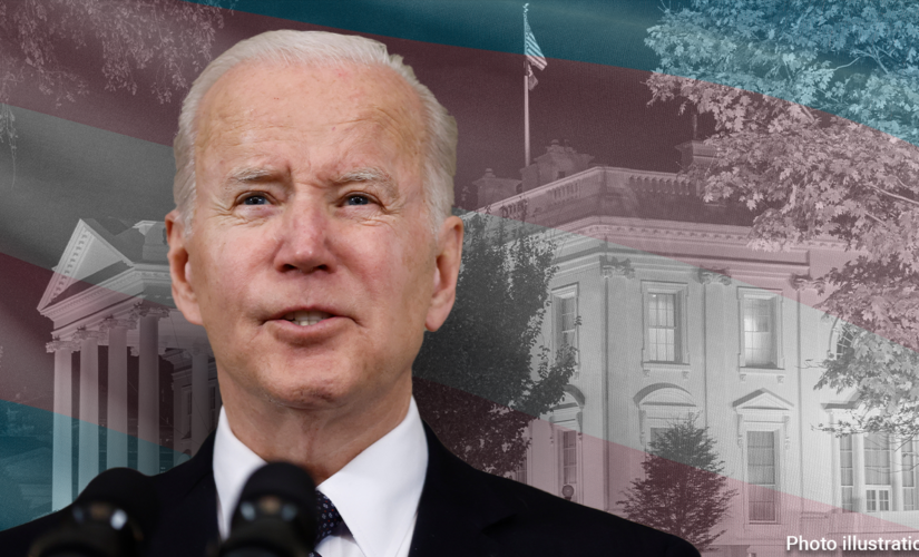 Biden, Harris, Dem leaders refuse to say if they support transgender youth surgeries