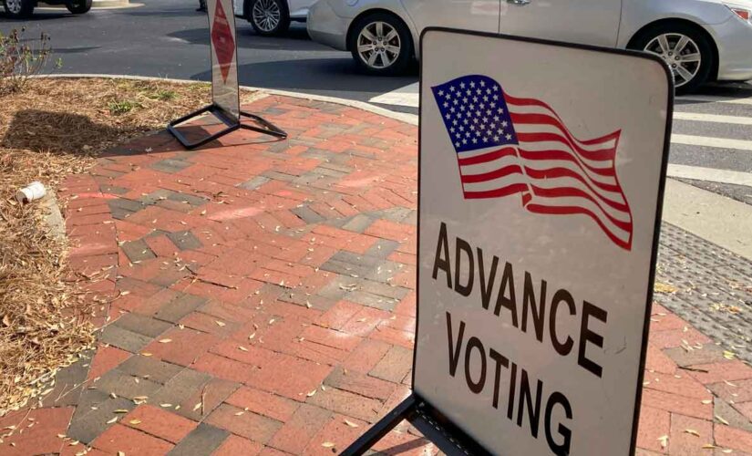 Georgia judge extends deadline for some Cobb County voters who never received their mail-in ballots
