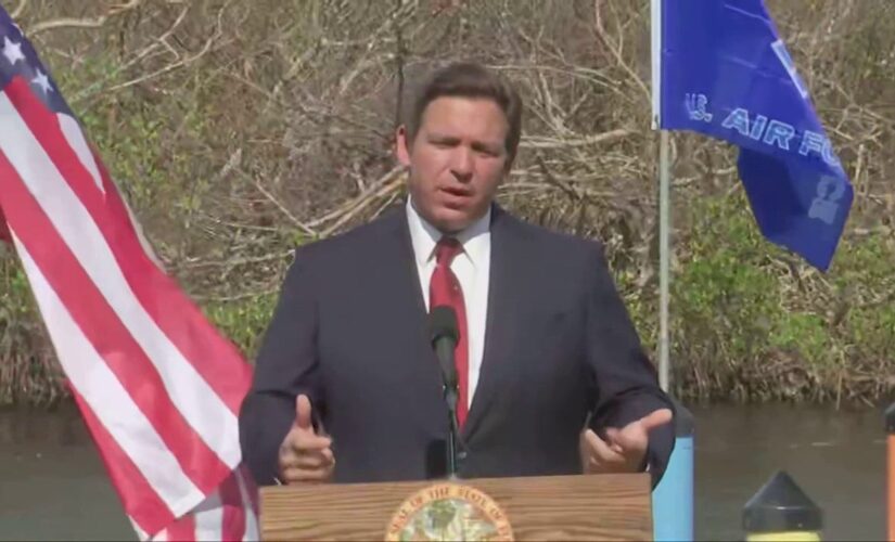 DeSantis responds to question about ‘GOP civil war’: ‘People just need to chill out’