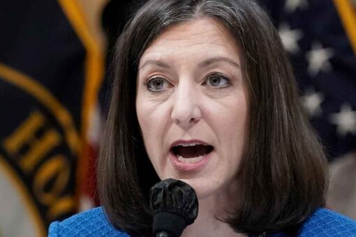 Meet the most vulnerable House members from each party who could be sent packing on Election Day