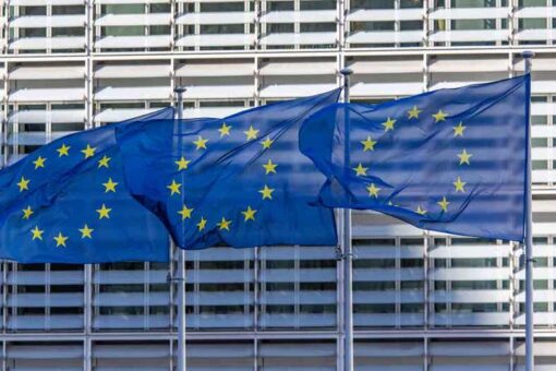 Environmental groups issue joint appeal for EU to remove carbon removal methods from climate plans