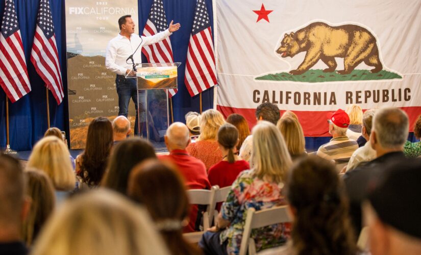 California could be hit with ‘conservative tsunami’ after group’s voter registration efforts: Grenell