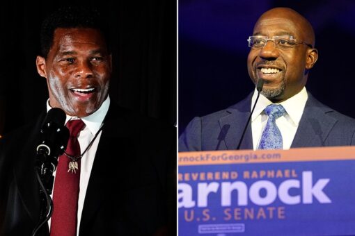 Georgia Senate runoff: RNC to send hundreds of GOP officials to support Herschel Walker in Peach State
