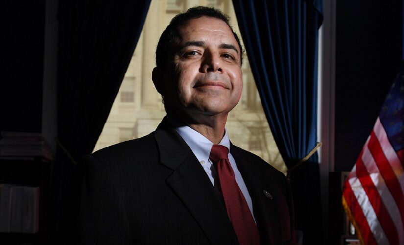 Border congressman tells Democrats: ‘Listen to people like myself’ as party fights to keep House control