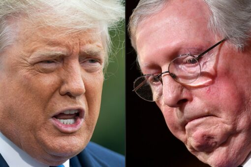 Trump scolds Mitch McConnell as GOP Senate majority becomes unlikely after Democrats keep crucial Arizona seat