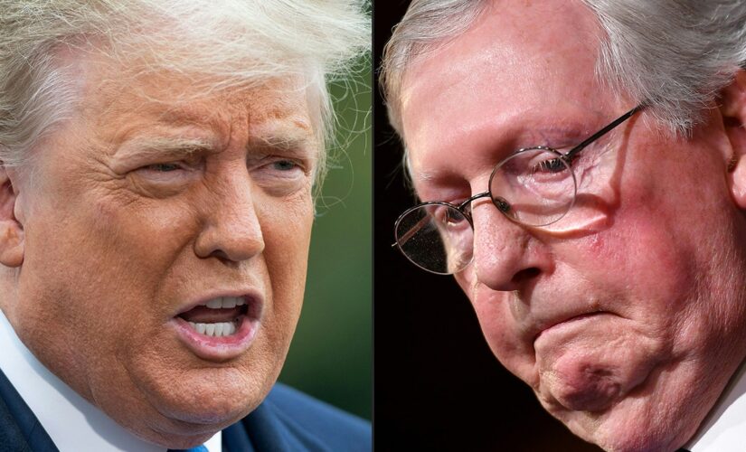 Trump scolds Mitch McConnell as GOP Senate majority becomes unlikely after Democrats keep crucial Arizona seat