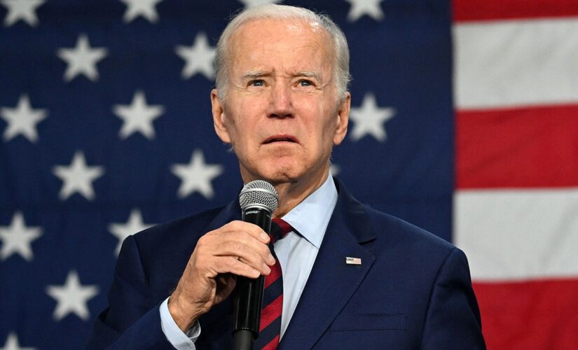 Biden faces 2024 opposition from far-left group: ‘Don’t Run Joe’