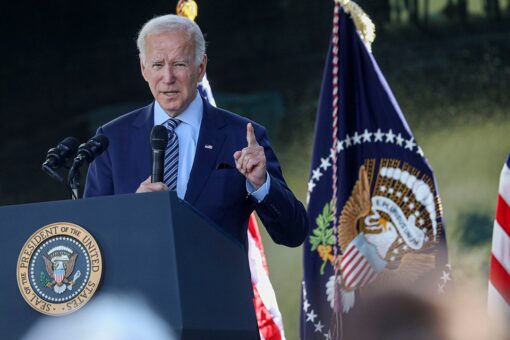 Biden pitches banning assault weapons at Dem fundraiser: ‘I don’t know many deer wearing Kevlar vests’