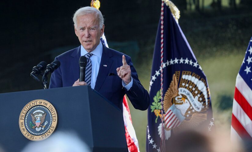 Biden pitches banning assault weapons at Dem fundraiser: ‘I don’t know many deer wearing Kevlar vests’