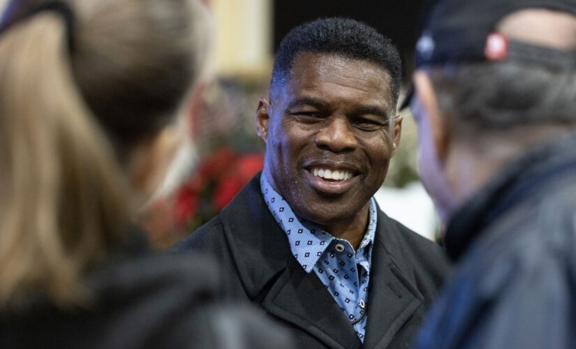 Herschel Walker received tax break for permanent residences on Dallas home