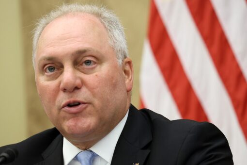 Steve Scalise announces bid for House majority leader, pledges to ‘hold the Biden administration accountable’