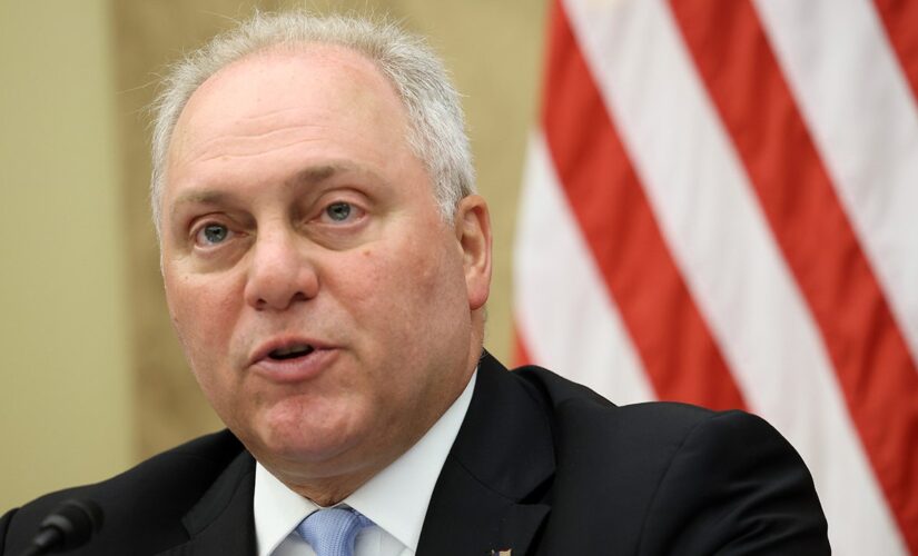 Steve Scalise announces bid for House majority leader, pledges to ‘hold the Biden administration accountable’