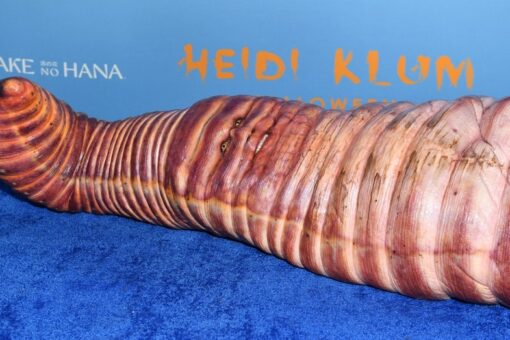 Heidi Klum unrecognizable in elaborate giant worm costume at her New York City Halloween bash