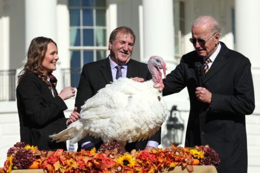 USDA blames Russia for rising price of Thanksgiving dinner