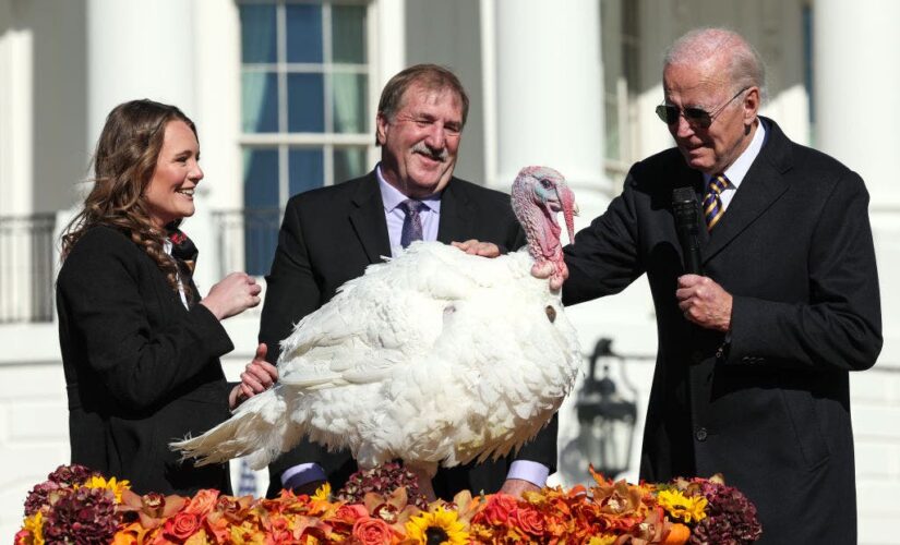 USDA blames Russia for rising price of Thanksgiving dinner