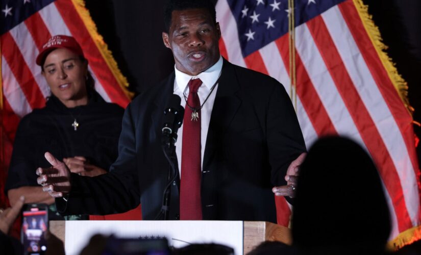 Herschel Walker told supporters, ‘I live in Texas’ while campaigning for Senate in Georgia: report