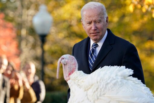 Biden pardons two turkeys in Thanksgiving tradition