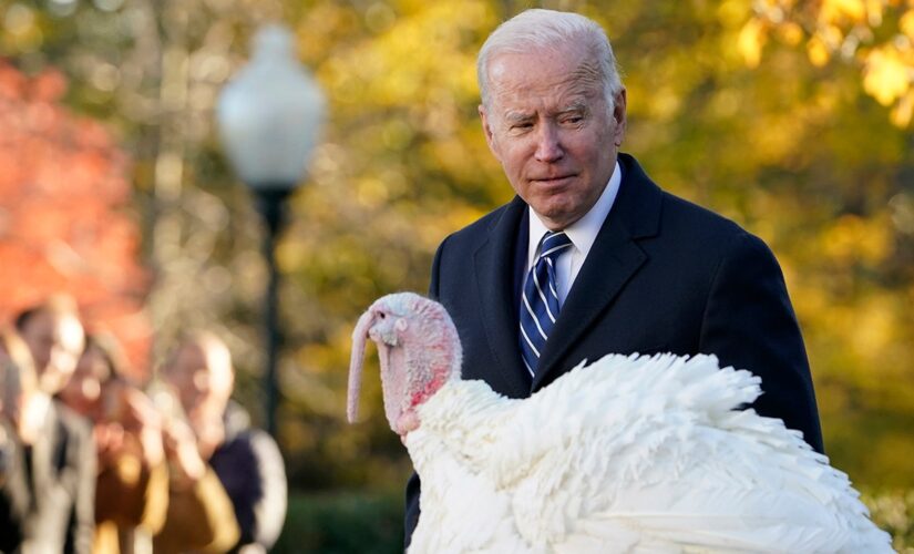 Biden pardons two turkeys in Thanksgiving tradition