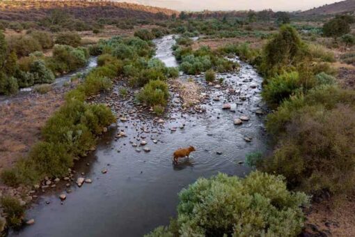 Israel, Jordan sign declaration of intent at UN climate conference to conserve, protect Jordan River