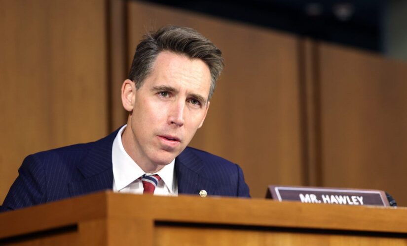 Midterm elections: Hawley slams ‘Washington Republicanism’ after red wave fizzles
