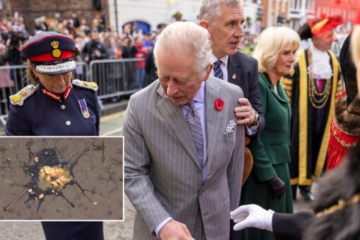 King Charles III and Camilla hurled with eggs, protester arrested
