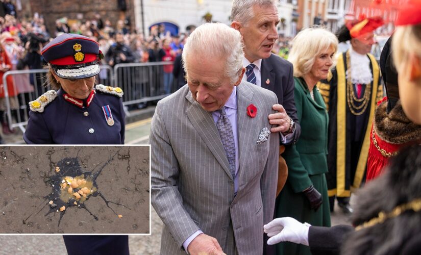 King Charles III and Camilla hurled with eggs, protester arrested