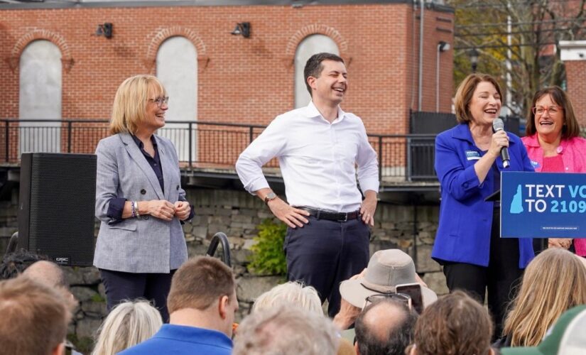 Democrats call in the cavalry trying to save blue seat in key Senate battleground