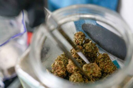 Five Texas cities vote to decriminalize low-level marijuana possession