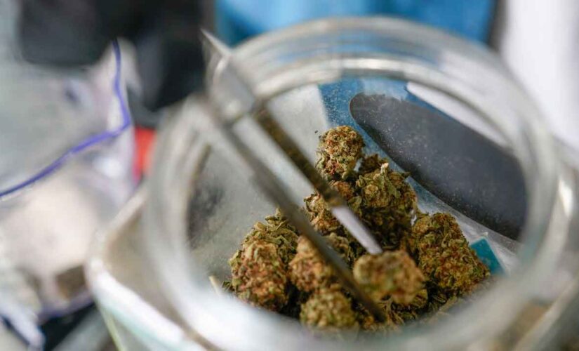 Five Texas cities vote to decriminalize low-level marijuana possession