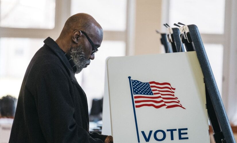 Michigan officials say everyone was able to vote in Detroit after ‘harmless data error’