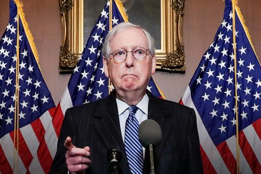 Cotton says he supports McConnell as Senate leader: ‘To be the man, you got to beat the man’