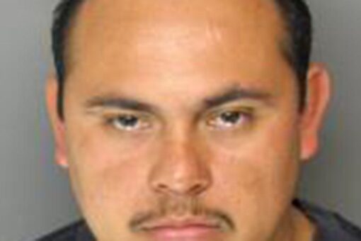 Border Patrol agents nab child sex offender, 13 gang members trying to enter US