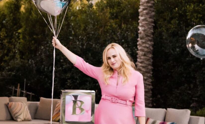 Rebel Wilson welcomes baby girl via surrogate