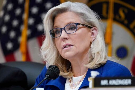Liberals suggest Liz Cheney should be speaker of House but not everyone agrees