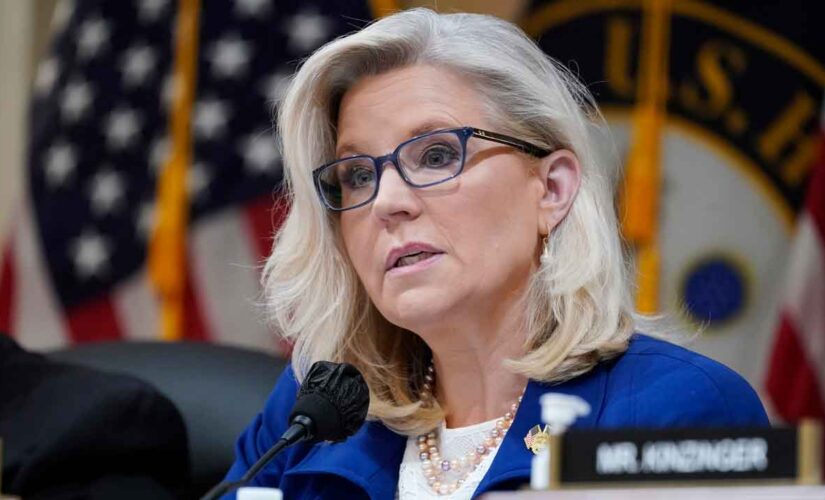 Liberals suggest Liz Cheney should be speaker of House but not everyone agrees