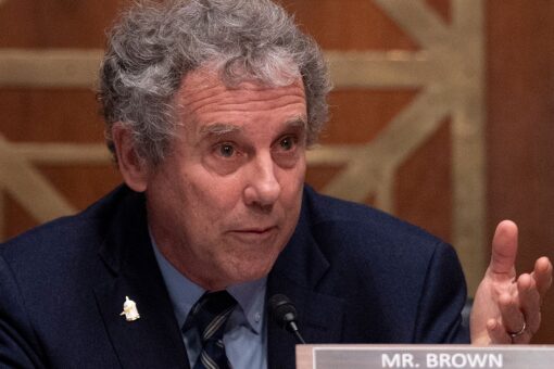 Democratic senator in key battleground state announces 2024 re-election campaign
